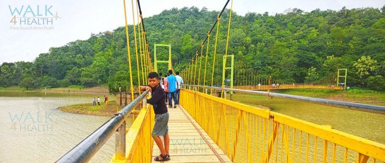 Hanging Bridge